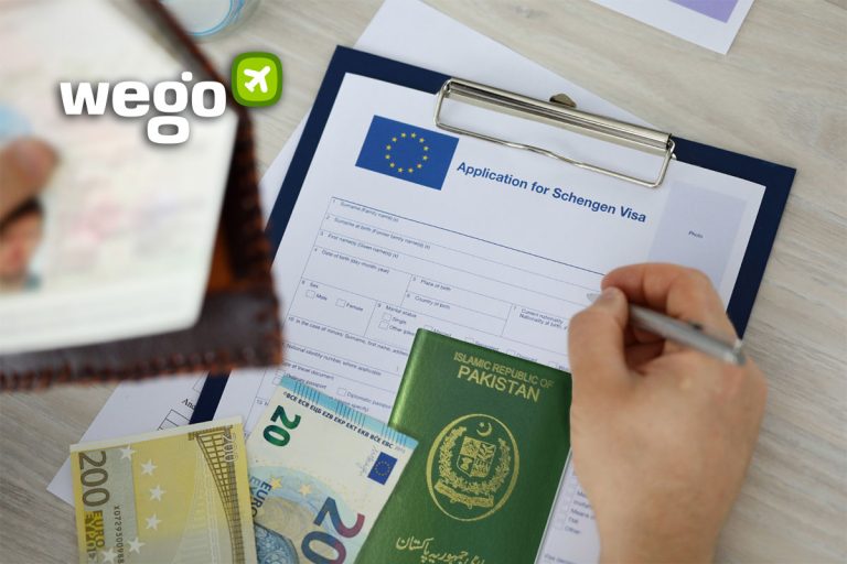 Step-by-Step Process: How to Apply for an Indian Visa as a Swiss Citizen