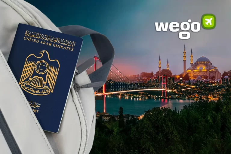 Tips for a Smooth Application for a Turkey Visa from Cyprus or Egypt