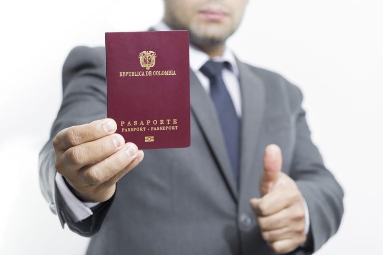 A Comprehensive Guide to Indian Visa for Swedish Citizens: Everything You Need to Know